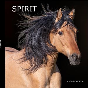 Spirit Photo Book