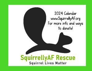 SquirrellyAF 2024 Calendar