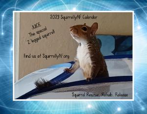 squirrellyaf