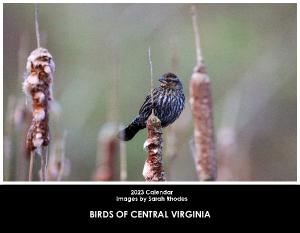 2023 Birds of Central Virginia