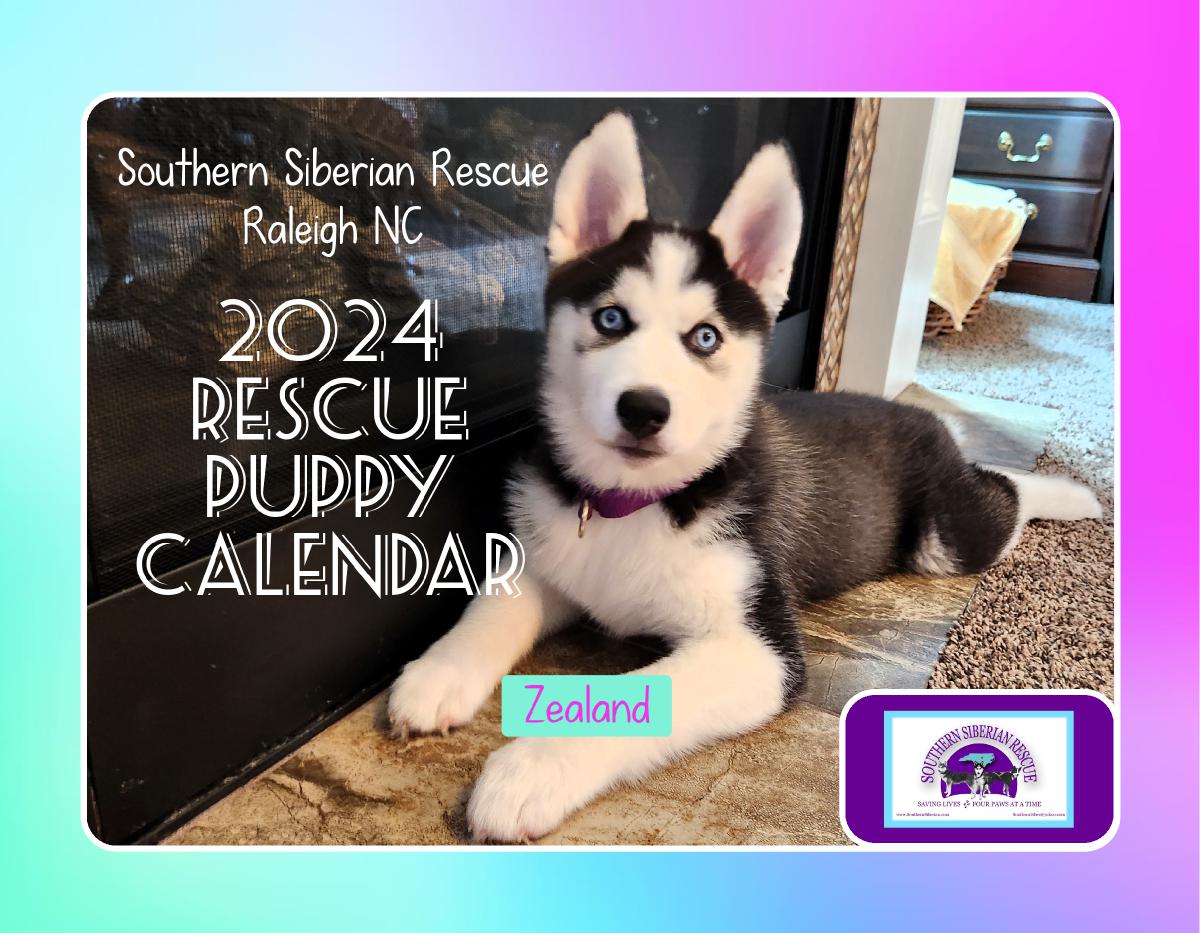 2024 SSR Rescue Puppy Calendar