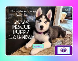 2024 SSR Rescue Puppy Calendar