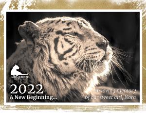 2022 WildCat Ridge Sanctuary Calendar Nora Tribute