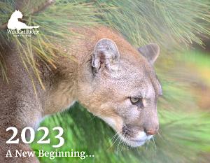 2023 WildCat Ridge Sanctuary Calendar