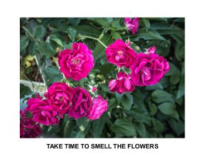 TAKE TIME TO SMELL THE FLOWERS