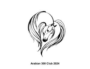 Arabian 300 Club 2024