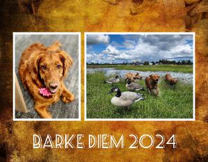 Barke Diem 2024