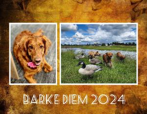 Barke Diem 2024