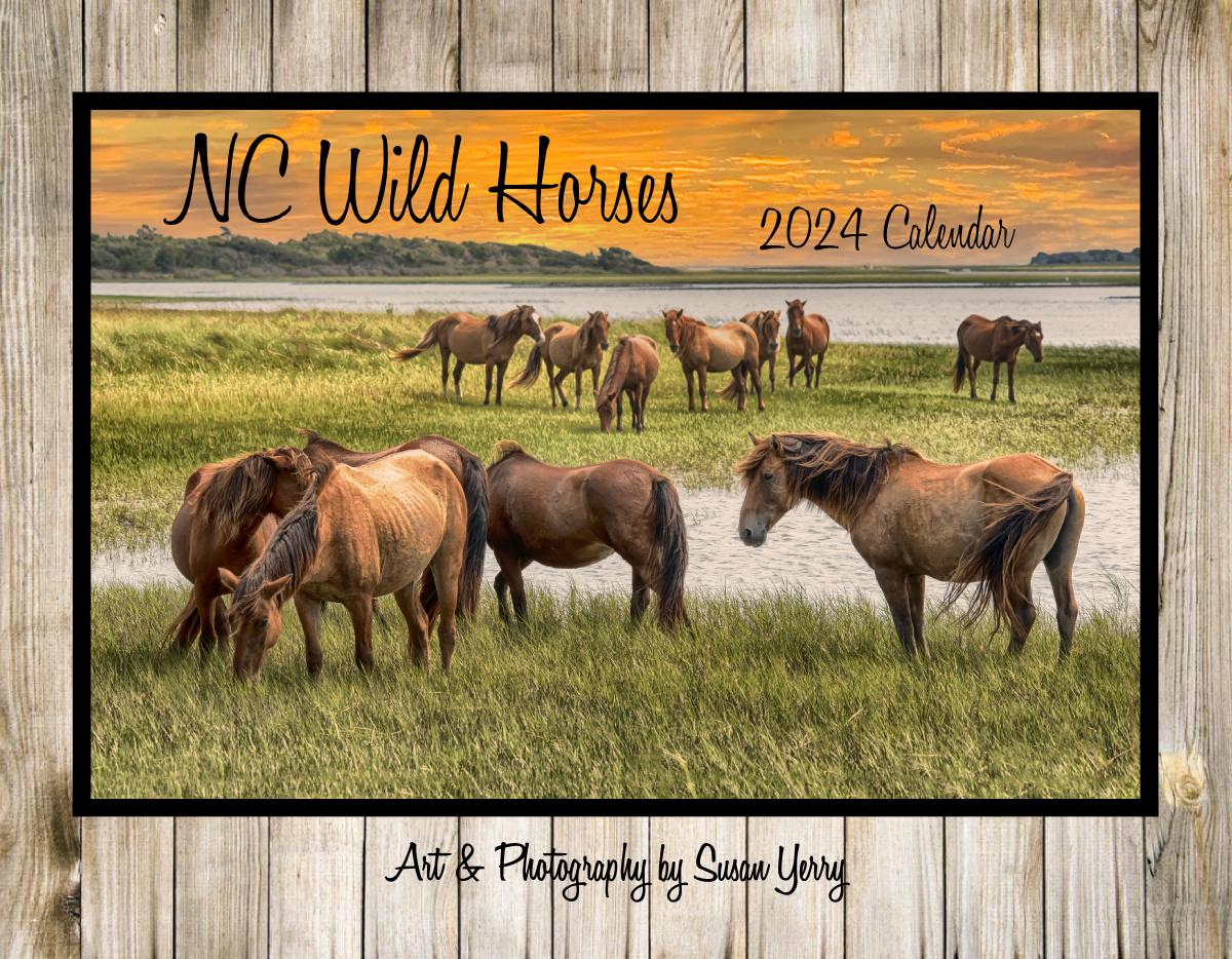 NC Wild Horses 2024 Calendar