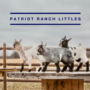 Patriot Ranch Littles