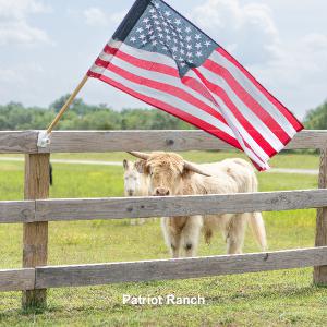 Patriot Ranch 2024 Calendar