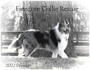 2022 Freedom Collie Rescue Calendar