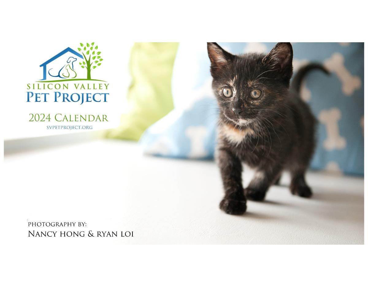 Silicon Valley Pet Project Store Create Photo Calendars
