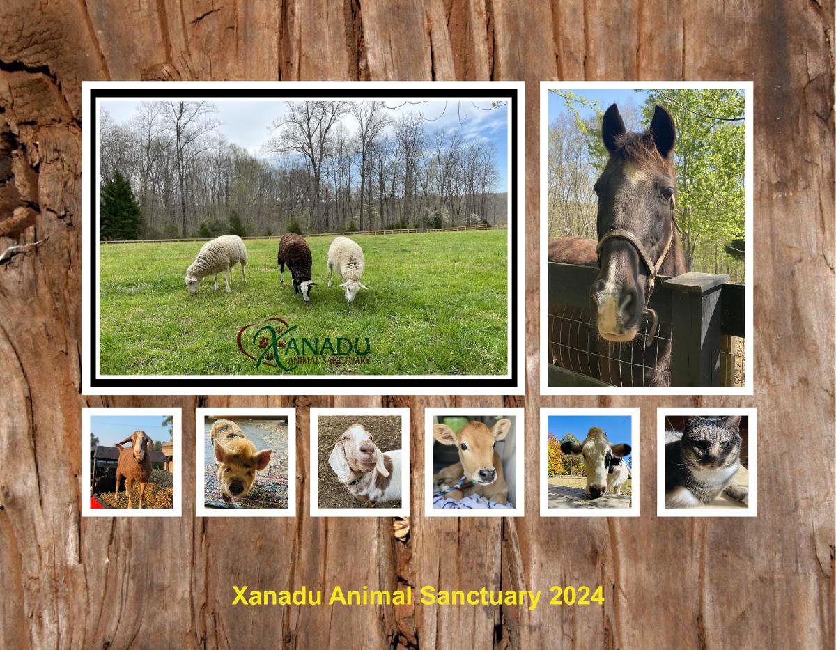 Xanadu Animal Sanctuary 2024