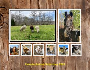 Xanadu Animal Sanctuary 2024