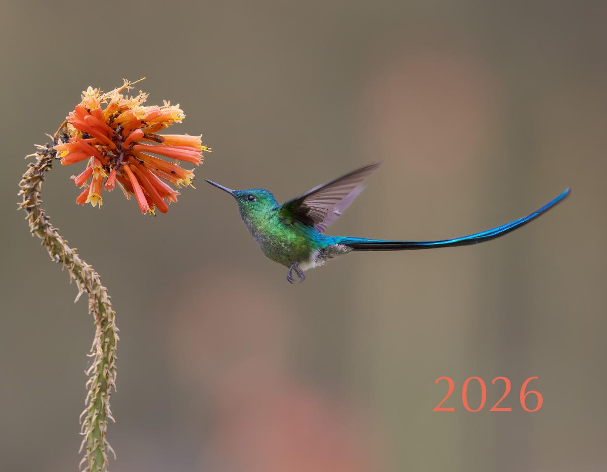 2026 Bird Calendar
