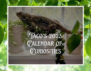Taco's 2023 Calendar of Curiosities