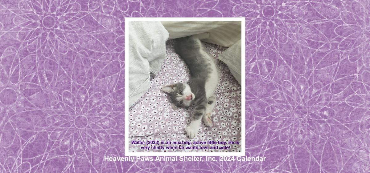 Heavenly Paws 2024 Desk Calendar