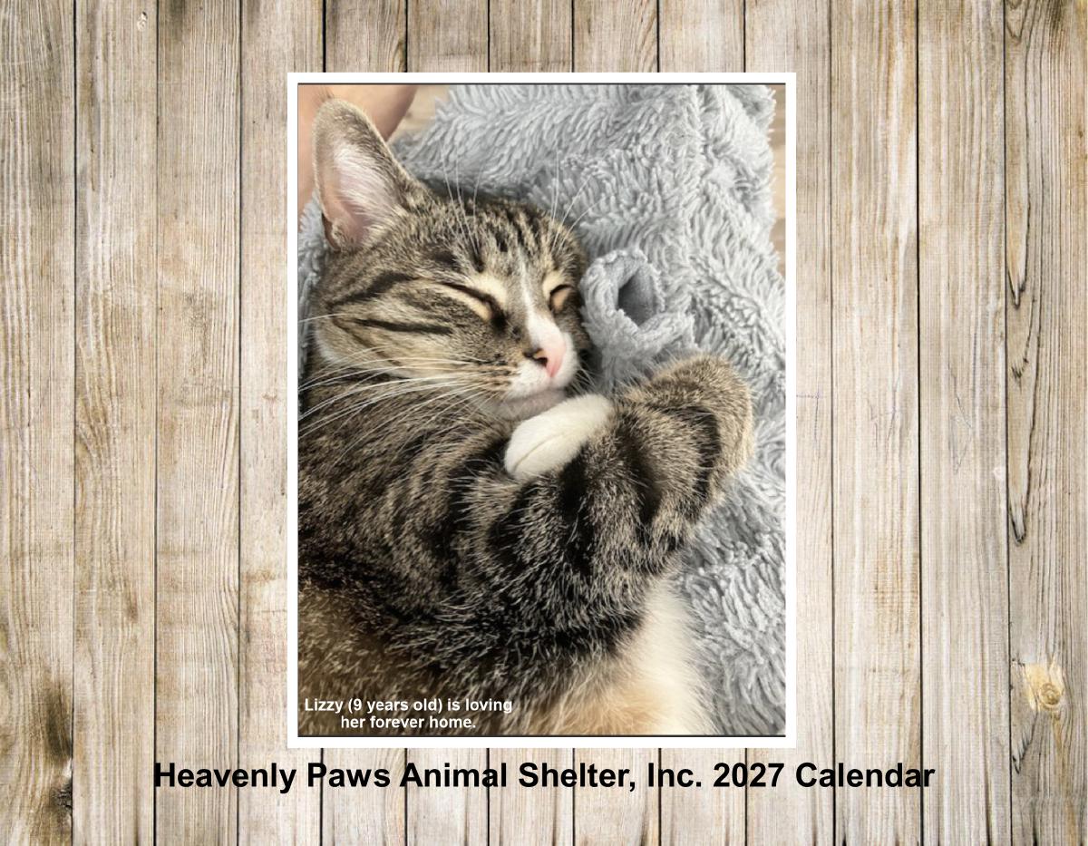 Heavenly Paws Wall Calendar 2027
