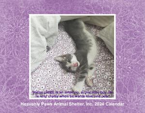 Heavenly Paws 2024 Wall Calendar