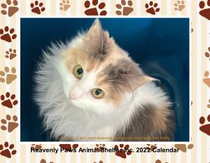 Heavenly Paws Animal Shelter 2022 Wall Calendar