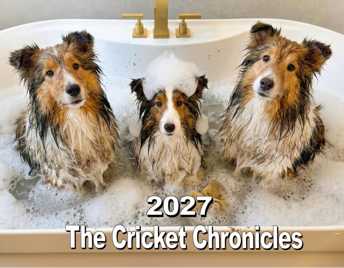 The Cricket Chronicles 2027