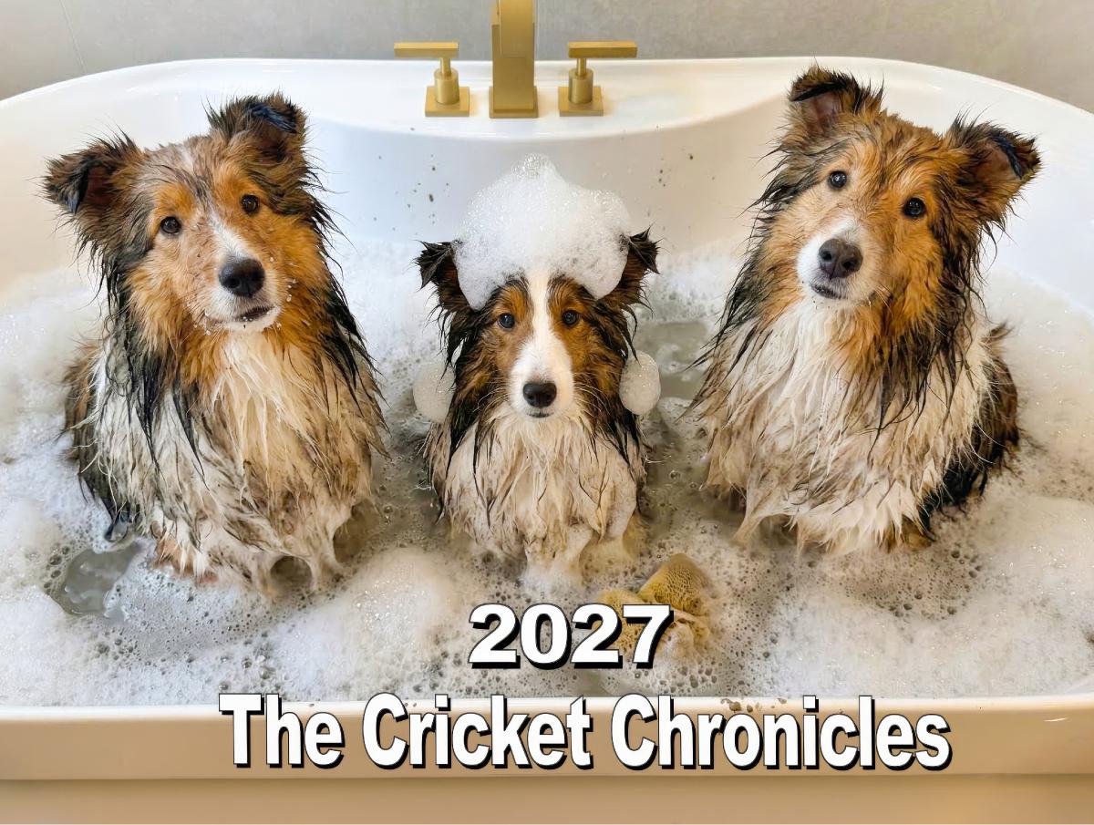 The Cricket Chronicles 2027