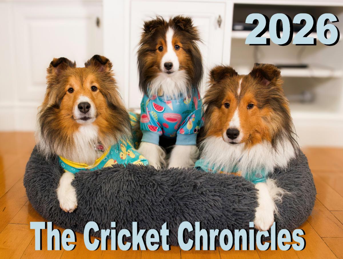 The Cricket Chronicles 2026