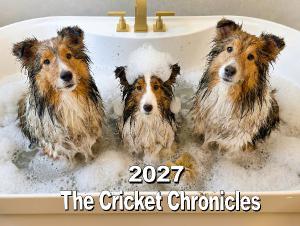 The Cricket Chronicles 2027