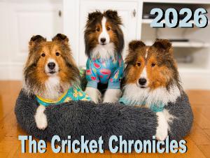 The Cricket Chronicles 2026