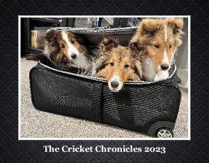 The Cricket Chronicles 2023 Calendar!