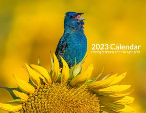2023 Wildlife Calendar By Thomas Cluderay