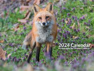 2024 Nature Calendar By Thomas Cluderay