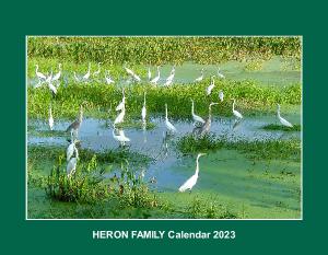HERON FAMILY (bird) Calendar