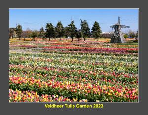 Veldheer's Tulip Garden - Holland, Michigan