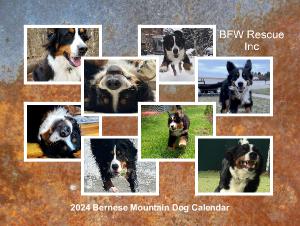 2024 Bernese Mountain Dog Calendar