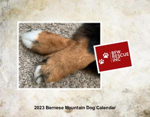 2023 Bernese Mountain Dog Calendar