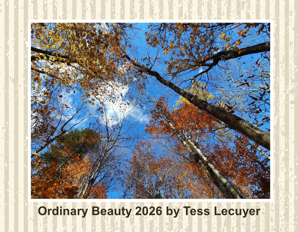 Ordinary Beauty 2026 Wall Calendar