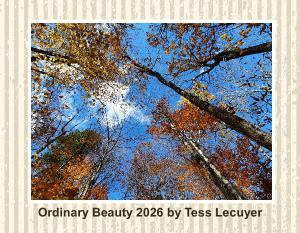 Ordinary Beauty 2026 Wall Calendar