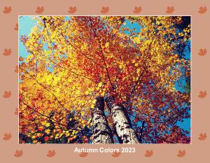 Autumn Colors 2023