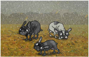 run javascript functions inside pug template run javascript functions inside pug template