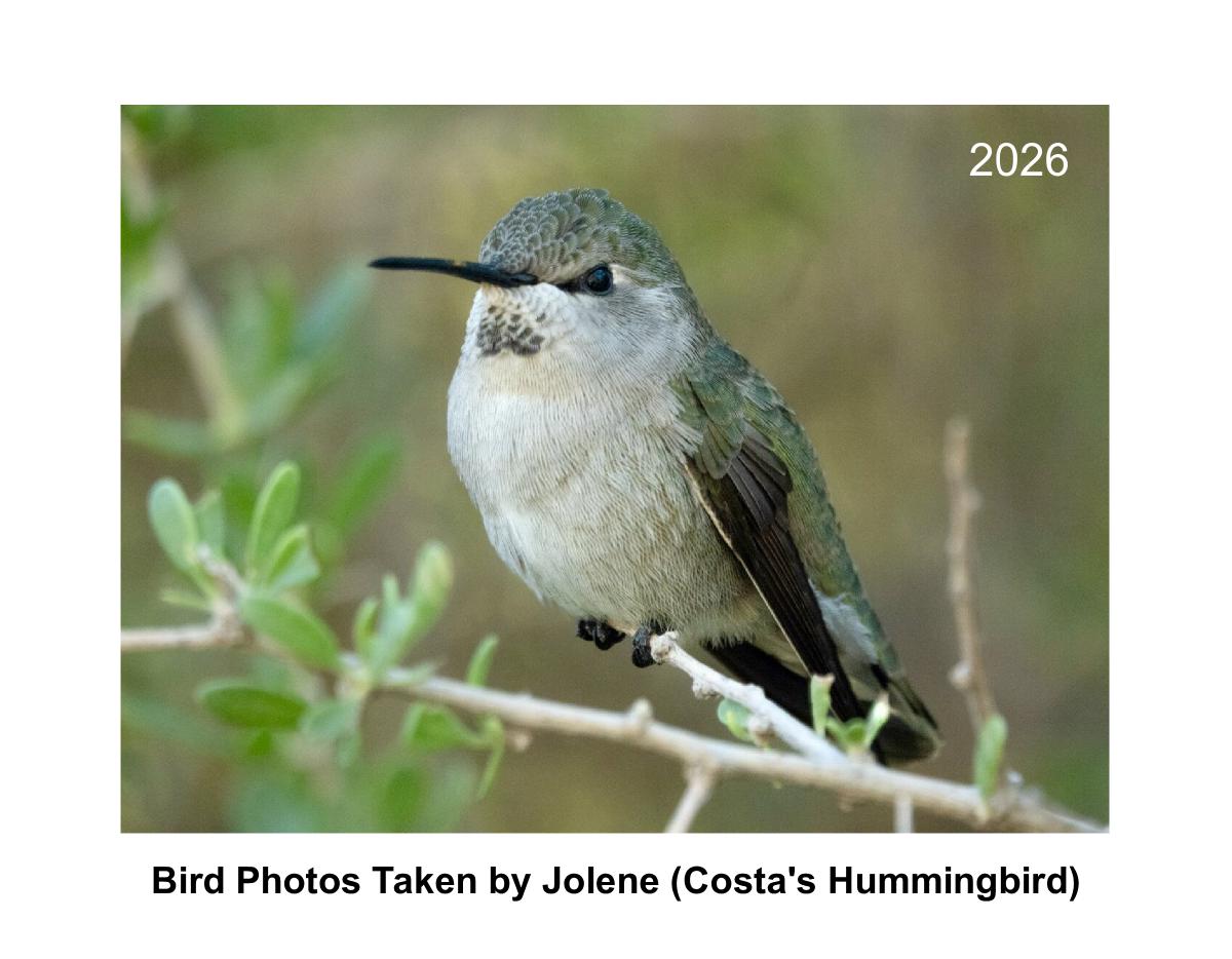 Bird photos every month with hummingbirds too!