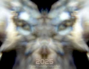 2025 Crystal Contact Calendar