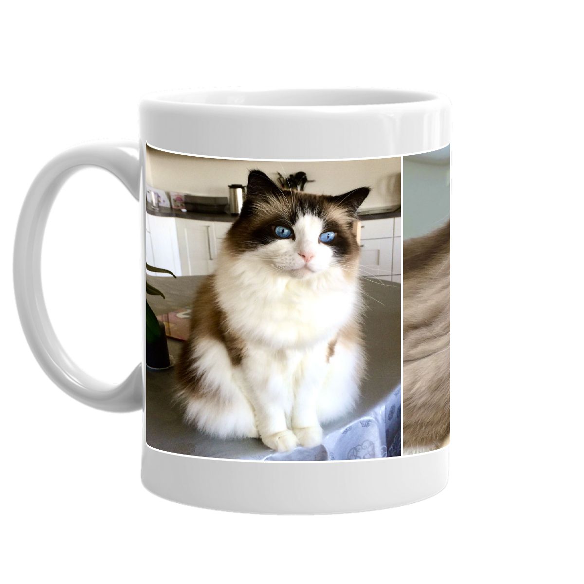 Marius Mug