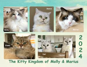 The Kitty Kingdom Calendar 2024