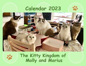 thekittykingdomofmollymarius