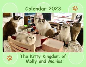 Kitty Kingdom Calendar 2023