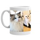 Kitty Kingdom Coffee Mug 2020