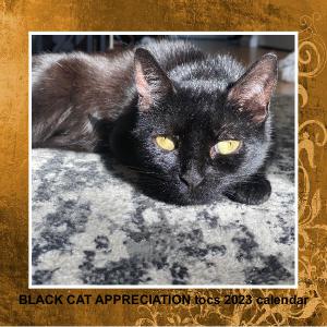 TOCS black cat appreciation 2023 calendar