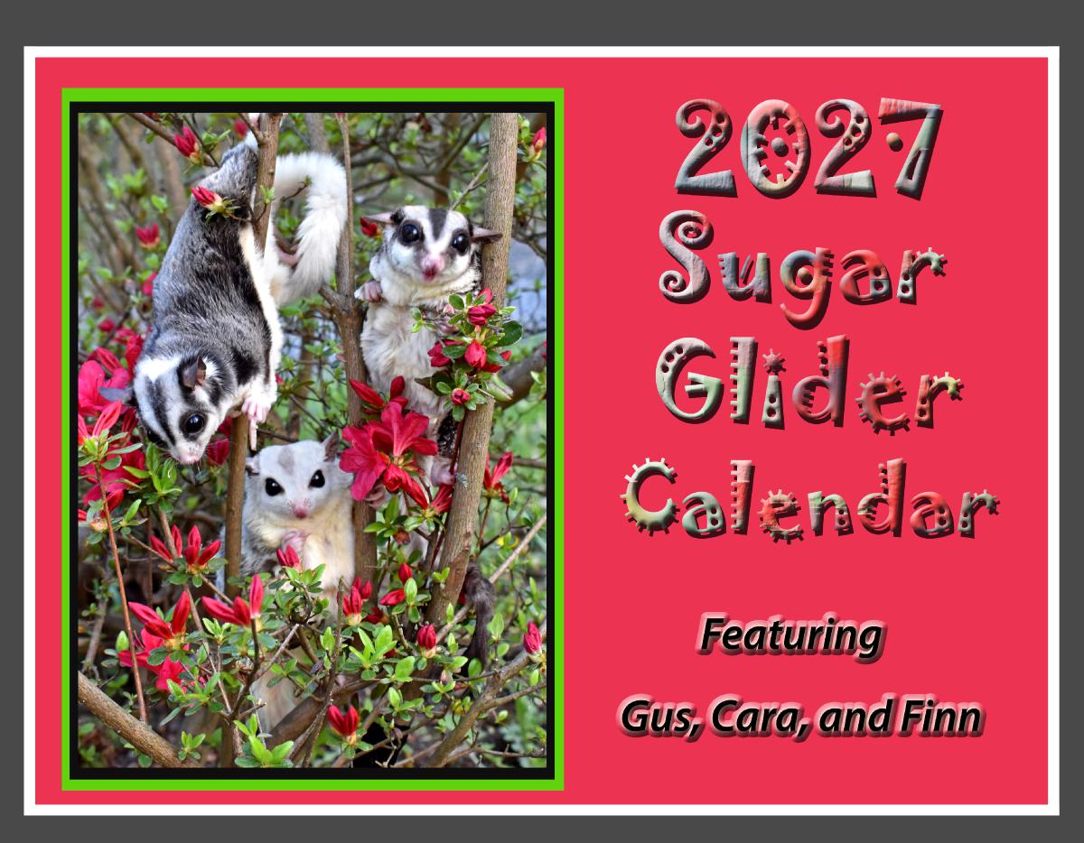 2027 Sugar Glider Calendar